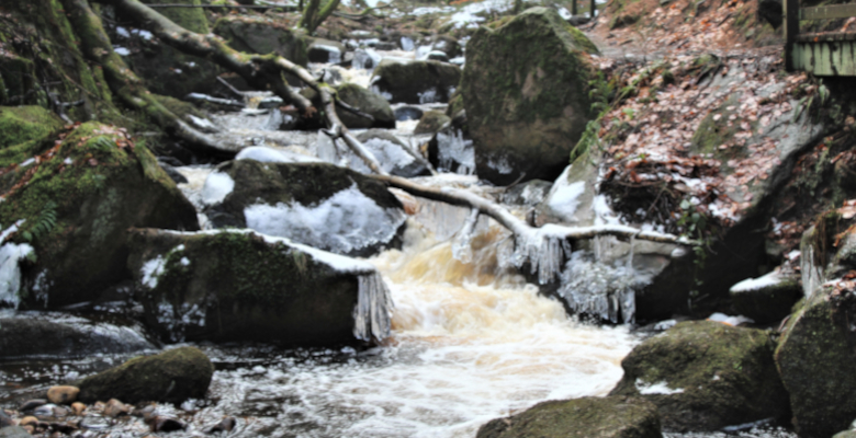 Stream in the Rivelin valley
